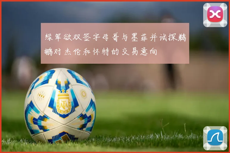 绿军欲双签字母哥与墨菲并试探鹈鹕对杰伦和怀特的交易意向