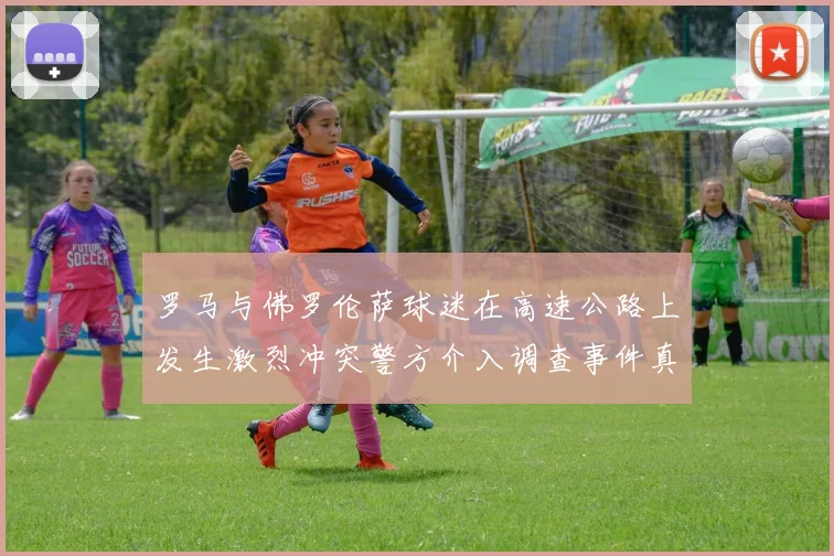 罗马与佛罗伦萨球迷在高速公路上发生激烈冲突警方介入调查事件真相